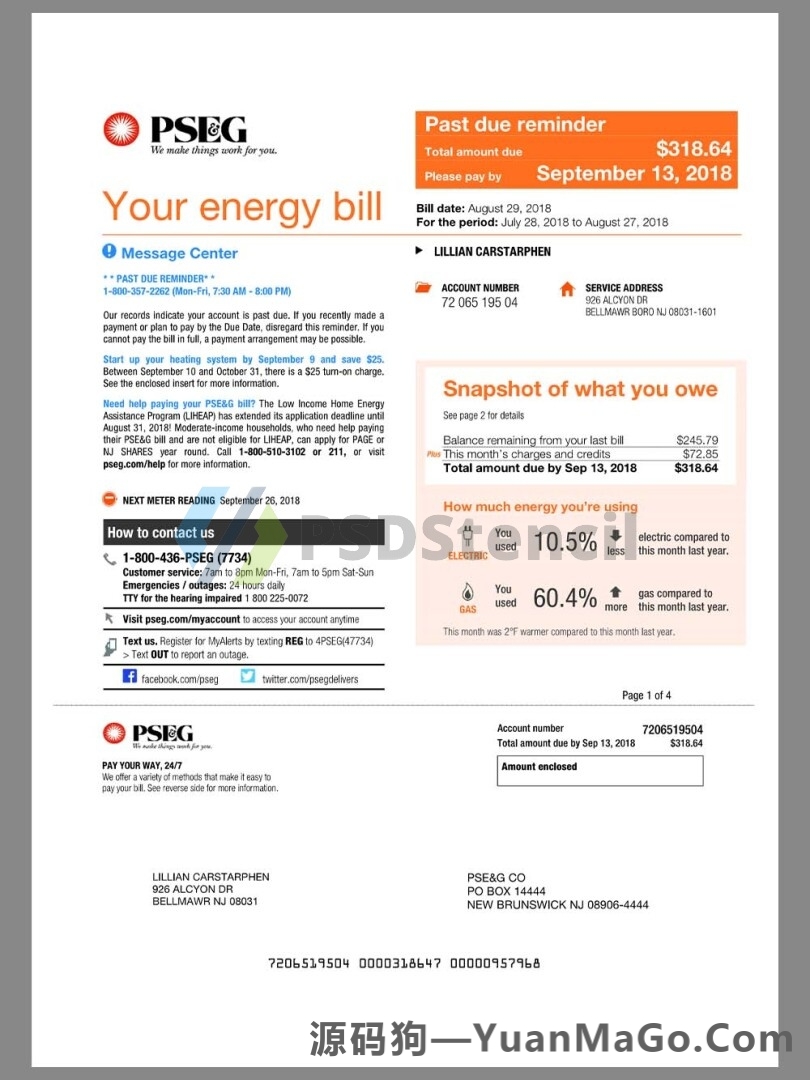 北美 | USA PSEG Utility Bills美国公共服务集团水电费账单pdf模板-源码狗