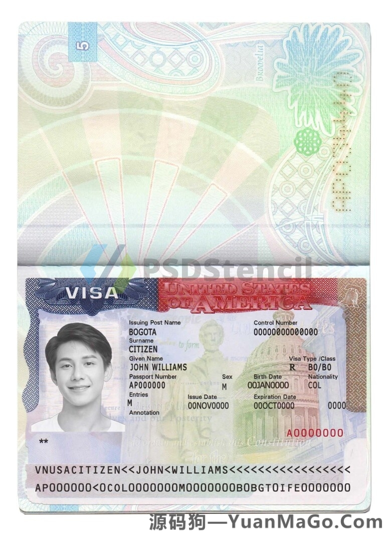 USA Tourist Visa PSD Template美国旅游签证模版/美签PSD模板-源码狗