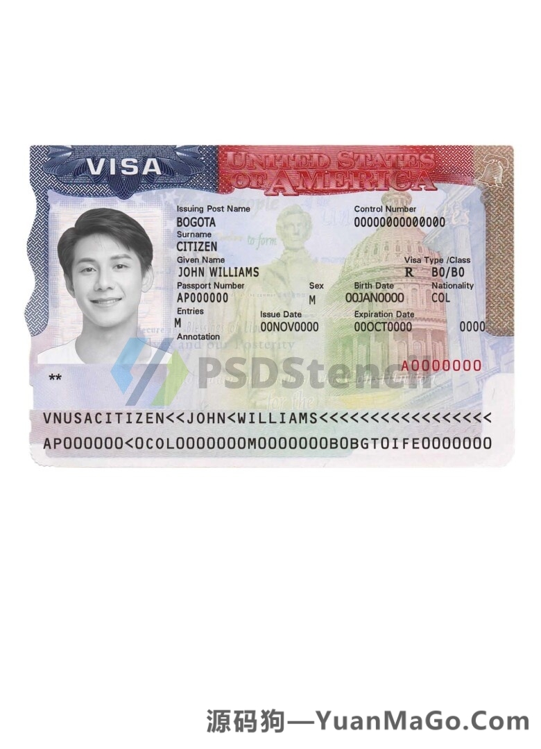 图片[2]-USA Tourist Visa PSD Template美国旅游签证模版/美签PSD模板-源码狗